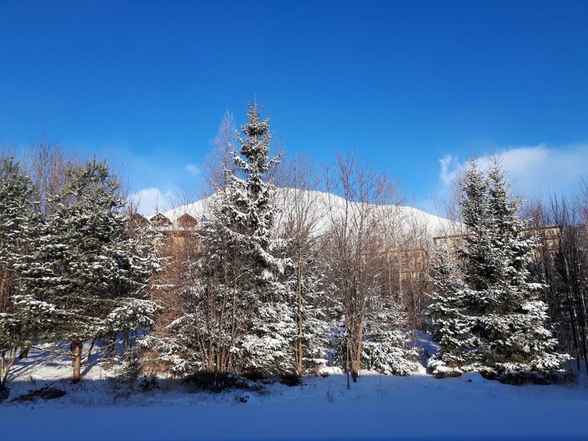 Apartman Mariana Vysoké Tatry المظهر الخارجي الصورة